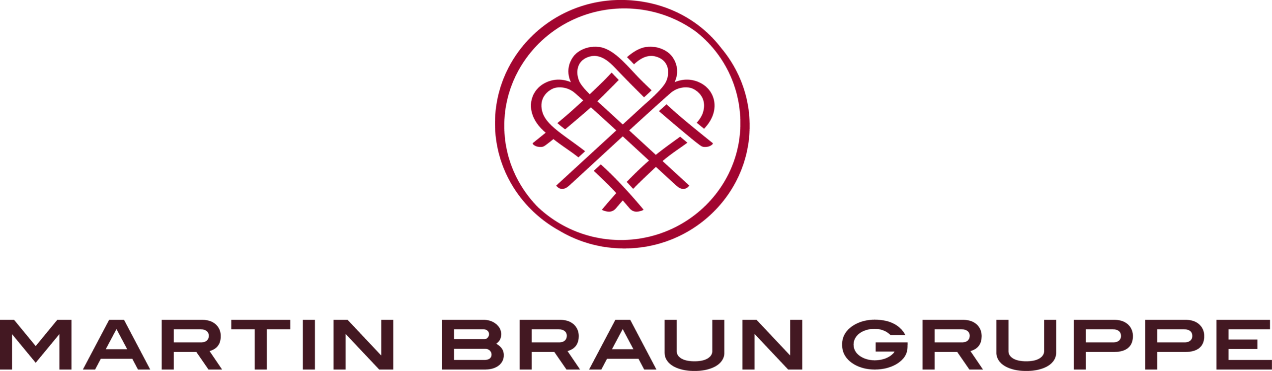 martin braun